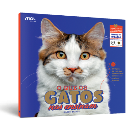 O Que Os Gatos Nos Ensinam