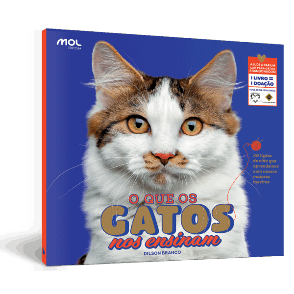 O Que Os Gatos Nos Ensinam